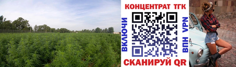 дарнет шоп  Артёмовск  hydra ссылка  ТГК THC oil 