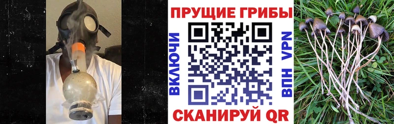 мориарти формула  Артёмовск  Псилоцибиновые грибы мицелий 